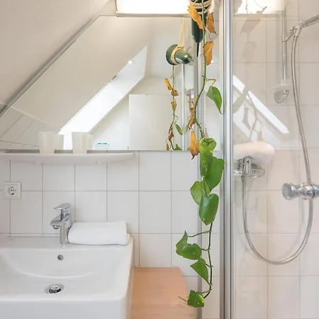 Apartament Jente *